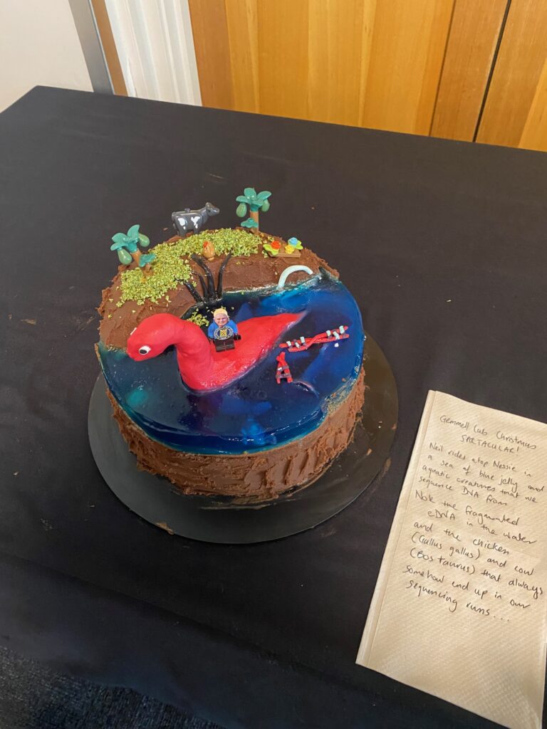 Gemmell Lab BMS Bake-Off competition cake: Vanilla sponge with chocolate frosting mountains with a blueberry jelly lake populated by a pink moulding chocolate Nessie among other eDNA traced elements.