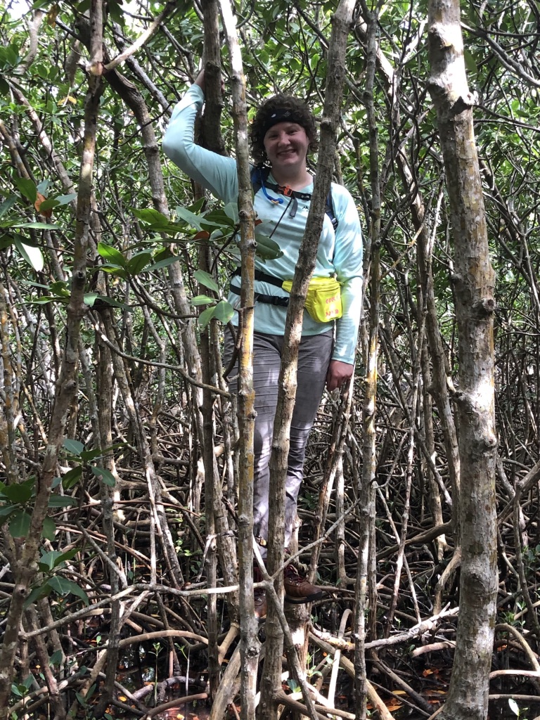 Haylee Quertermous doing field work in a Florida mangrove